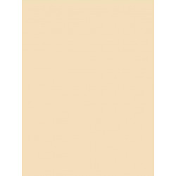 Möbelfolie Creme