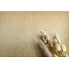 Cream Golden Oak - AG14