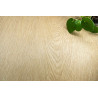 Cream Golden Oak - AG14