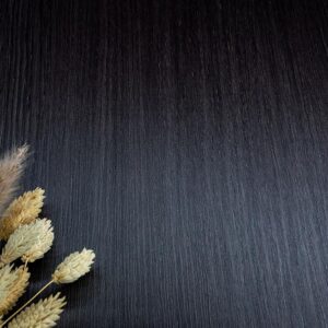 Castagno Caducci - F7